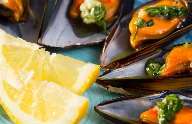 Pontevedra Estuary Boat Ride + Mussel Tasting - Photo 1