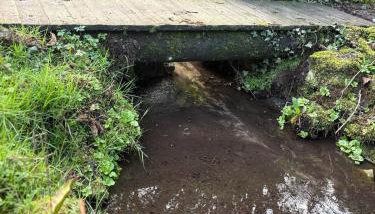 Little Vine Cottage in the grounds of Leeds Castle - Foto 4