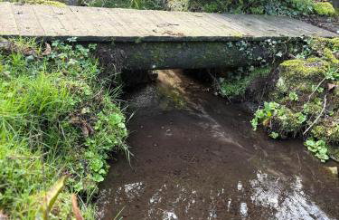 Little Vine Cottage in the grounds of Leeds Castle - Foto 4