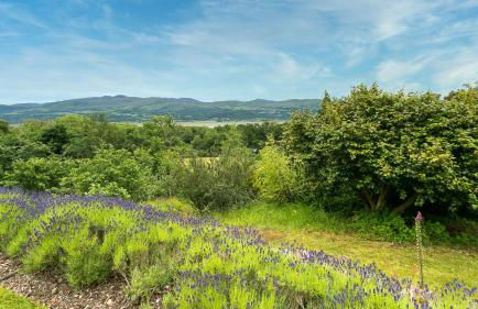 Hafod Cae Maen - Foto 41