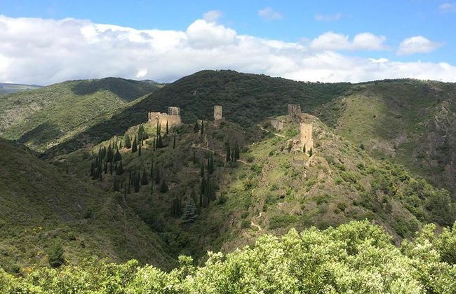 Tour privato di un giorno: Castelli di Lastours e Cité de Carcassonne. Da Carcassonne. - Foto 11