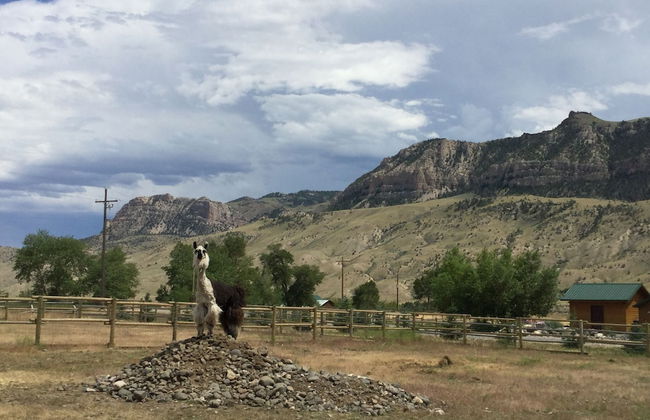 Eycat Lodging Company - Foto 27