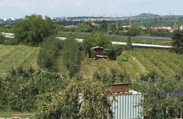 Ferienwohnungen Weinstadt - Foto 27