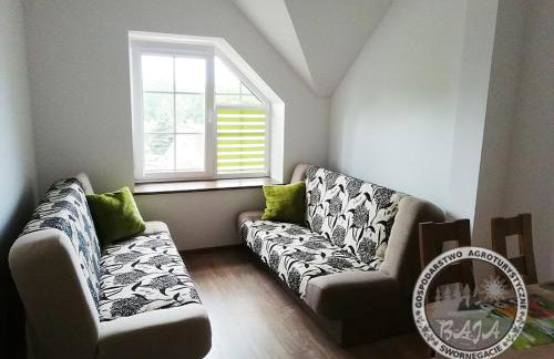 BAJA Gospodarstwo Agroturystyczne - Foto 31