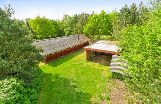 "Feliza" - from the sea - Photo 6