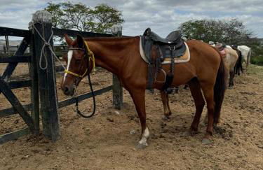 Monte Castelo - Meu Flat - Foto 36