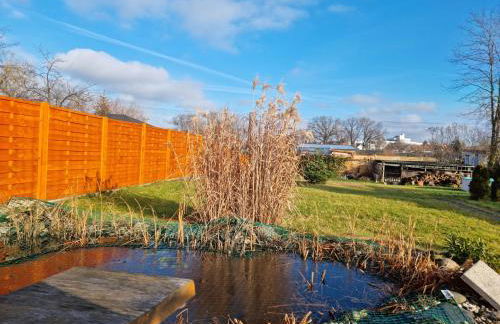 Liebevoll eingerichtetes Haus mit großem Garten in Dresden - Telefonnummer und Video unter www fhvn de - Foto 23