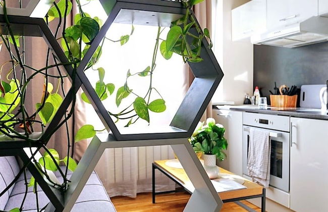 Cofy Rentals Tallinn - Foto 34