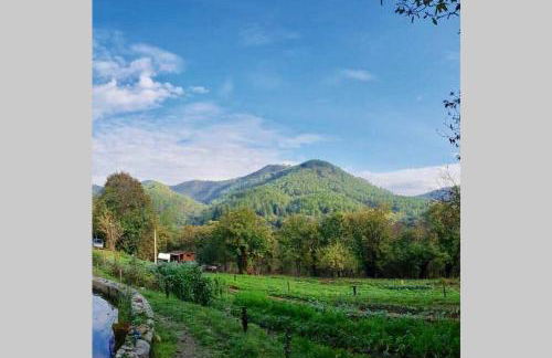Le Gîte - La Ferme du Pouget - Foto 7