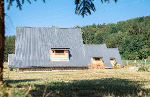 Ośrodek Wczasów Zdrowotnych Rudawka Rymanowska - Foto 67