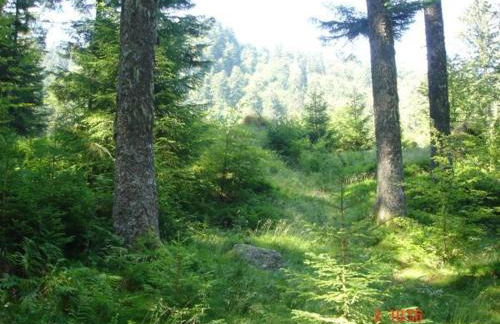 Gîte spacieux en ancienne ferme rénovée, idéal pour familles et amis – proche randos et sites touristiques - FR-1-589-6 - Foto 36