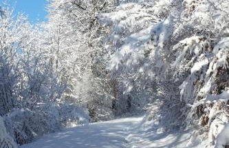 Apartment Palmgarten by Interhome - Foto 21