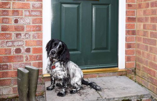 2 Bed in Dereham oc-57133 - Foto 2