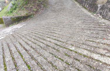 Uscio Natura - Foto 11