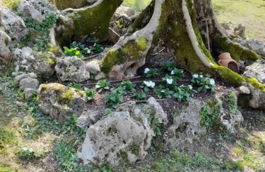 Villa Antopolis - Foto 7