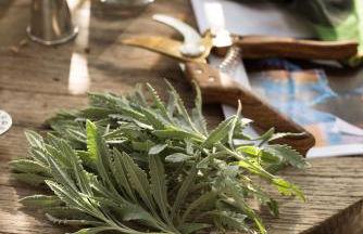 Boutique Hotel Poggio ai Santi - Adults Only - Foto 27