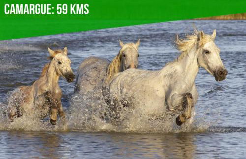 Pop Chartreuse - AC - WiFi - Historic Center - Foto 37