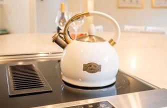 Villa with Hot Tub, Firepit and Game room - Foto 70