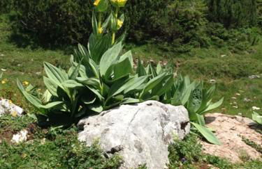 La Clé des Champs - Foto 11