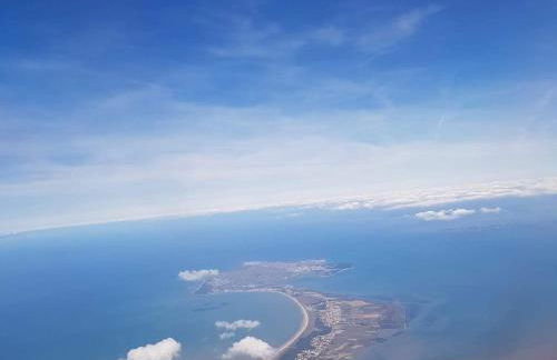 Studio rénové à deux pas de la plage des Lutins - Terrasse privée, parking et animaux acceptés - FR-1-426-515 - Foto 10