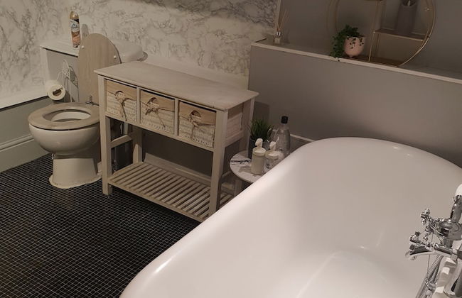 Albert Rd - Photo 21