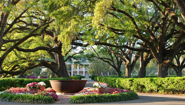 Go City - Pase todo incluido de Nueva Orleans - Acceso a más de 20 atracciones - Foto 2