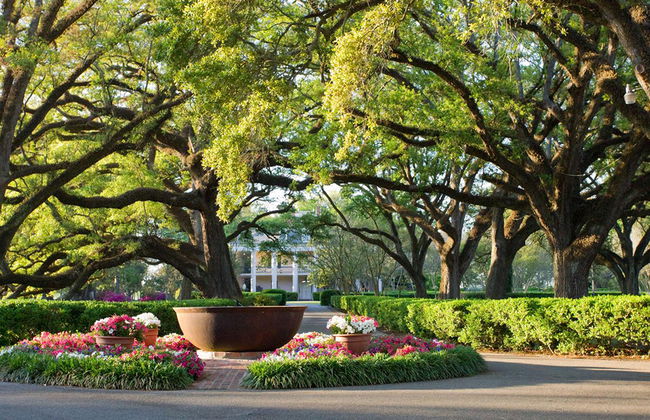 Go City - Pase todo incluido de Nueva Orleans - Acceso a más de 20 atracciones - Foto 2