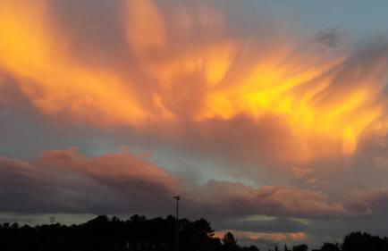 Hossegor Les Bécasses - Foto 17