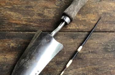 Il Bosco del Lebbio - Foto 31