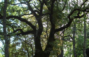 Castello di Sarna - Foto 12