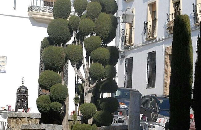 Marta Home - Photo 17