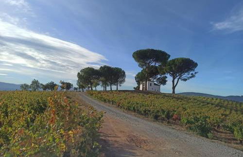 BenedettaMolinaseca VuT - Foto 66