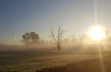 Agriturismo Helianthus - Foto 59