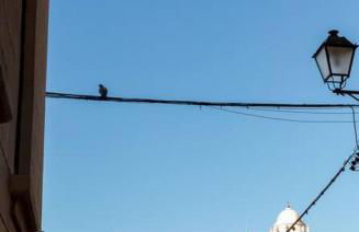 Candié by Gades Gestión - Foto 30