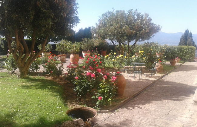 Fattoria Gambaro di Petrognano - Foto 74