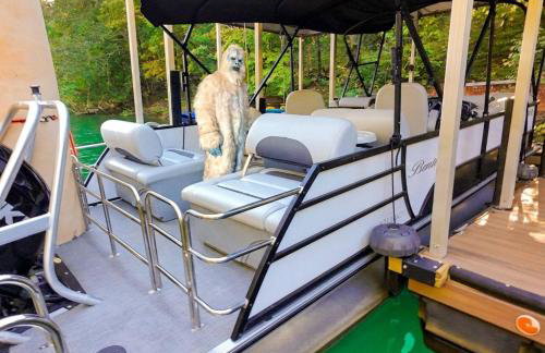 Lake Keowee’s Cabin By The Cove, Boat & PWC Option - Foto 72