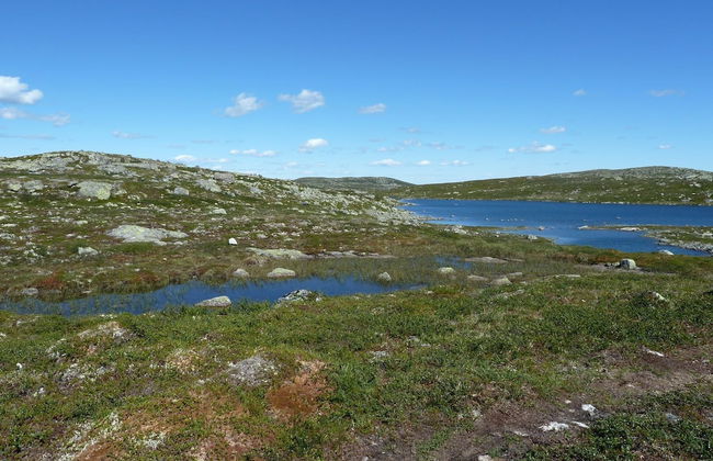 Furulie Cabin - Flå - Foto 12