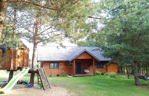 Siedlisko Radogoszcz, jacuzzi ,sauna - Foto 1