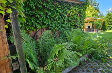 Pension und Ferienwohnungen Lerchl - Foto 67