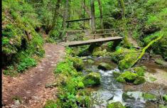 Ferienwohnung Schwarzwaldglück - Foto 43