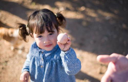 Agroturismo Llucmaçanes Gran - Foto 61
