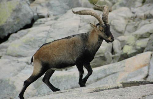 Casa Rural La Vereilla - Foto 12