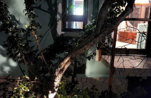 Chalé romântico, com vista panorâmica, para Casais - Foto 20