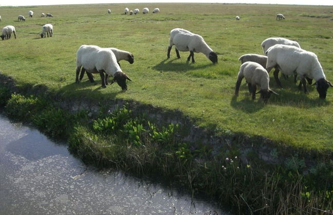 Inviting Apartment in Norden - Foto 11