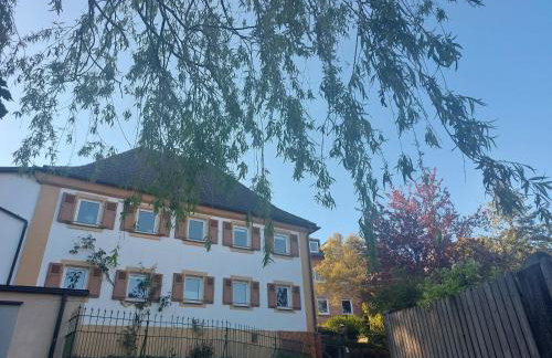 Haus Am Stadtschloss FeWo 3 Zimmer Küche Bad - Foto 31