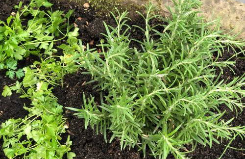 Ferien im Bomlitztal - Foto 30