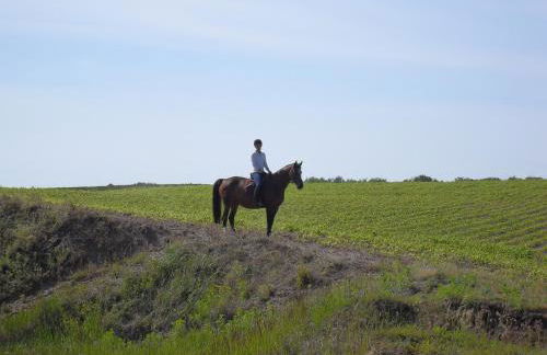 Ferienhaus in der Naehe der Ostsee - Foto 29