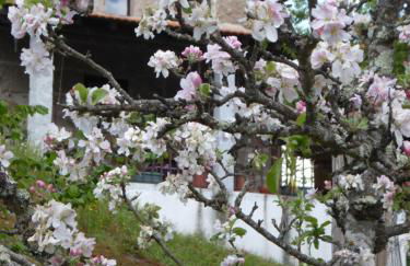 Quinta do Cobral - Foto 34