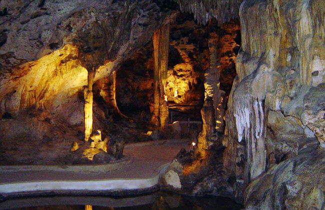 Tour della Fattoria di Struzzi e delle Grotte di Hato - Foto 1