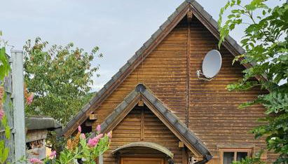 Ferienhaus-wurzbach - Foto 2, Garden